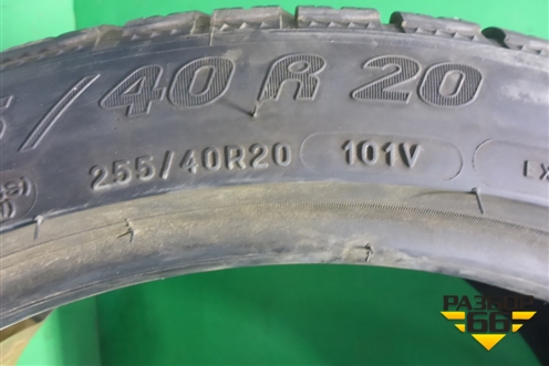 Шина Michelin Pilot Alpin 101V 255/40 R20 (Зима)