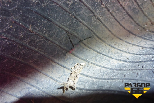 Шина Continental ContiSportContact 5 255/35 R19 (Лето)