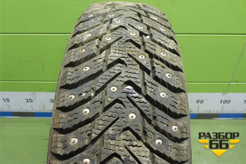 Шина  175/70 R14 (Зима Шипы) ( Nokian Nordman 8)