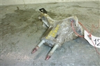 Кронштейн КПП для Honda Civic 4D с 2006-2012г (Цивик)