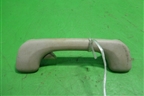 Ручка внутренняя потолочная для Renault Scenic с 2003-2009г (Сценик)
