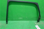 Накладка двери задней левой (на рамку) (8200167198) для Renault Scenic с 2003-2009г (Сценик)