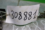 Головка блока цилиндров (1.2л L12A1 в сборе) для Honda FIT (GD) c 2001-2007г (Фит)