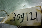Насос водяной помпа (1.4л 350A1000) (55221397) для Fiat Grande Punto с 2005г (Гранде Пунто)