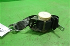 Ремень безопасности задний правый (BM51611B68AE) для Ford Focus 3 с 2011г (Фокус)