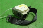 Ремень безопасности задний правый (BM51611B68AE) для Ford Focus 3 с 2011г (Фокус)