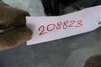 Усилитель торпедо для Volvo TRUCK FM с 2001-2013г (ФМ)