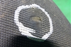 55a