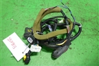 Проводка двери задней правой (1V90B03HE) для Infiniti Infiniti QX56/QX80 (Z62) с 2010г (Ку икс56/80)