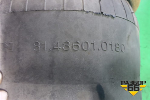 Воздушная подушка (81436010180) для MAN TGX с 2007г (ТГХ)