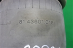Воздушная подушка (81436010181) для MAN TGX с 2007г (ТГХ)