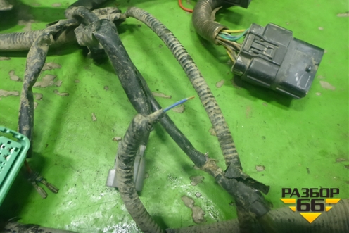Проводка подкапотная ( 2.4л K24Z3 АКПП) для Honda Accord(CU-CW) с 2008-2013г (Аккорд)