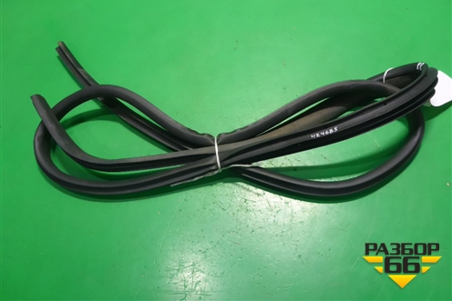 Уплотнитель двери передней правой (DN15N20724) для Ford EcoSport с 2014г (Экоспорт)