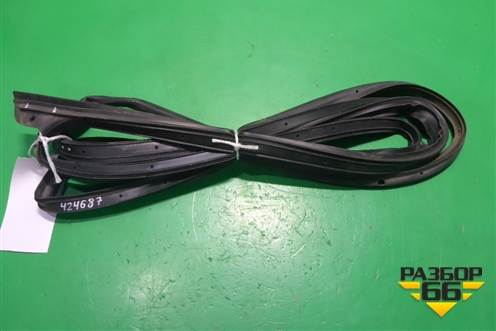 Уплотнитель двери передней правой на каркас (DN15N20530AB) для Ford EcoSport с 2014г (Экоспорт)