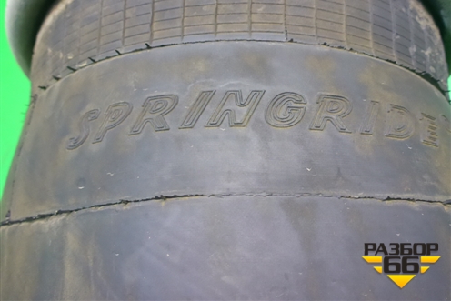 Воздушная подушка (задняя Contitech SPRINGRIDE) (566203502) для MAN TGS с 2007г (ТГС)