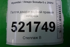 Петля двери задней правой нижняя для Hyundai Sonata-5 с 2001г (Соната)