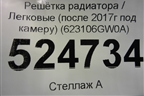 Решетка радиатора (после 2017г под камеру) (623106GW0A) для Infiniti Infiniti QX56/QX80 (Z62) с 2010г (Ку икс56/80)