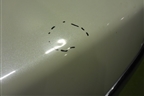 Крышка багажника (в сборе) (H430M9W4AA) для Nissan Teana (J31) с 2003-2008г (Теана)
