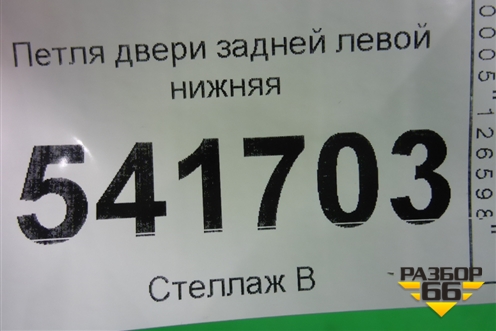 Петля двери задней левой нижняя для Nissan Teana (J31) с 2003-2008г (Теана)