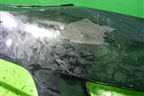 Бампер передний (под омыватели) (71101T2FA000) для Honda Accord IX с 2013г (Аккорд)