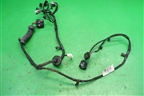 Проводка двери передней левой (GN1514631BCD) для Ford EcoSport с 2014г (Экоспорт)