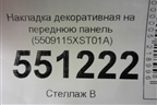 Накладка декоративная на переднюю панель (5509115XST01A) для Haval Jolion с 2021г (Джолион)