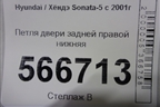 Петля двери задней правой нижняя для Hyundai Sonata-5 с 2001г (Соната)