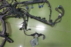 Проводка на двигатель (2.0л R20A2) для Honda CR-V(RE) с 2006-2012г (ЦРВ СРВ)
