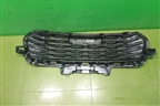 Решетка радиатора (5509132XST01A) для Haval Jolion с 2021г (Джолион)