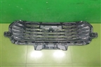 Решетка радиатора (5509132XST01A) для Haval Jolion с 2021г (Джолион)