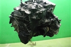 АКПП (2.4 л K24Z3) для Honda Accord(CU-CW) с 2008-2013г (Аккорд)