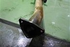 Глушитель (2.4л K2423) для Honda Accord(CU-CW) с 2008-2013г (Аккорд)