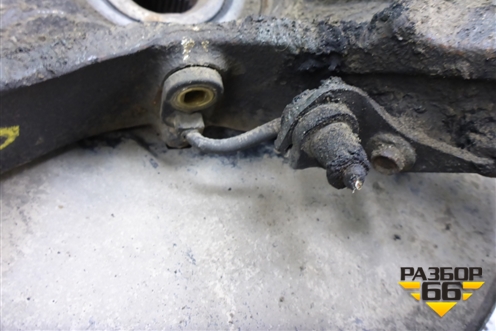 Кулак поворотный передний правый для Honda Accord(CU-CW) с 2008-2013г (Аккорд)