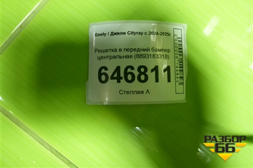 Решетка в передний бампер центральная (8893183318) для Geely Cityray с 2024-2025г
