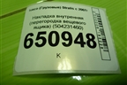 Накладка внутренняя (перегородка вещевого ящика) (504231460) для Iveco Stralis с 2007г (Стралис)