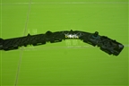 Кронштейн заднего бампера правый (5215560080) для Toyota Land Cruiser Prado(150) с 2009г
