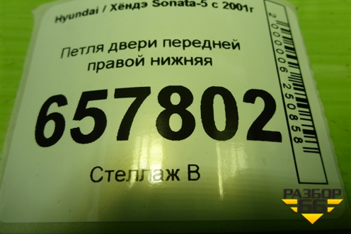 Петля двери передней правой нижняя для Hyundai Sonata-5 с 2001г (Соната)