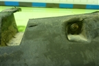 Брызговик передний правый (868323D000) для Hyundai Sonata-5 с 2001г (Соната)