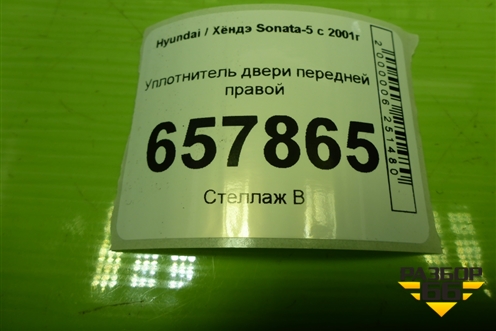 Уплотнитель двери передней правой для Hyundai Sonata-5 с 2001г (Соната)