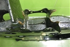 Подрамник передний (31106891262) для BMW X3 G01 с 2017г (Х3 Г01)