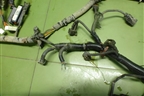 Проводка подкапотная (1.5л G4EC) для Hyundai Aсcent с 2000г (Акцент)