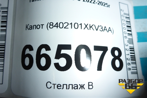 Капот (8402101XKV3AA) для Tank 500 с 2022-2025г