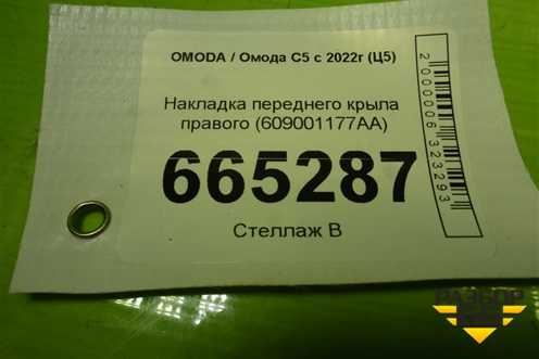 Накладка переднего крыла правого (609001177AA) для OMODA C5 с 2022г (Ц5)