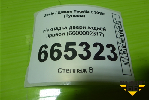 Накладка двери задней правой (6600002317) для Geely Tugella с 2019г (Тугелла)