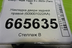 Накладка двери задней правой (609001022AA) для Chery Tiggo 9 с 2023г (Тиго 9)