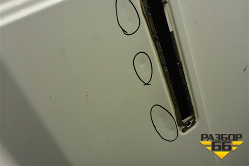 Дверь задняя левая (A31R236300015) для GAZ ГАЗель NEXT (Некст)