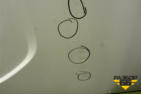 Дверь задняя левая (A31R236300015) для GAZ ГАЗель NEXT (Некст)