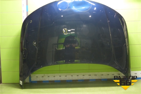 Капот (8402109XKN02AD) для Haval F7 с 2024-2025г (Ф7)