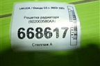 Решетка радиатора (602003580AA) для OMODA C5 с 2022г (Ц5)