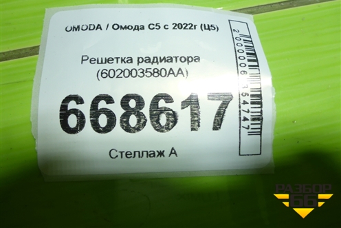 Решетка радиатора (602003580AA) для OMODA C5 с 2022г (Ц5)